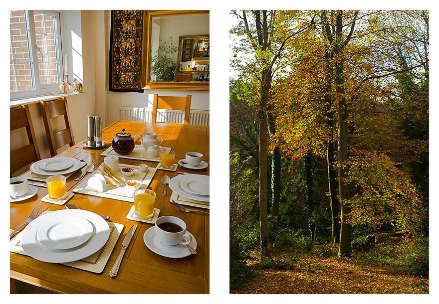 Bed and Breakfast Woodland Views Milton Abbas Екстер'єр фото